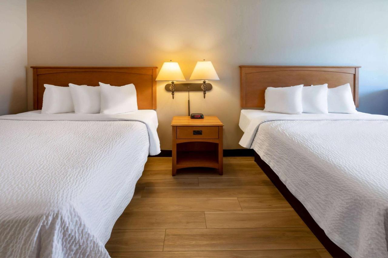 Days Inn By Wyndham Birch Run Zewnętrze zdjęcie